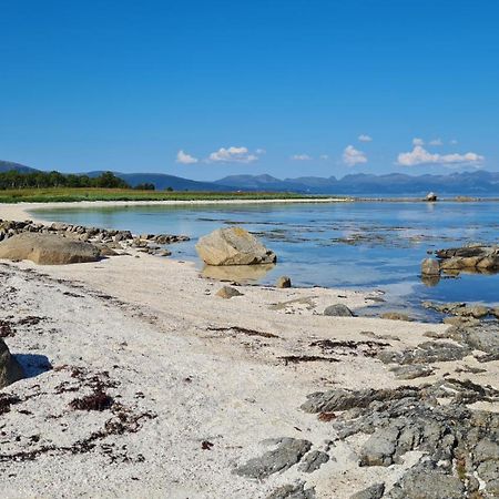 Prima Lofoten Myrland Bagian luar foto