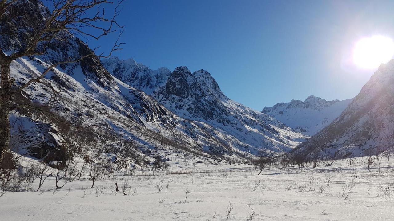 Prima Lofoten Apartment Myrland Bagian luar foto