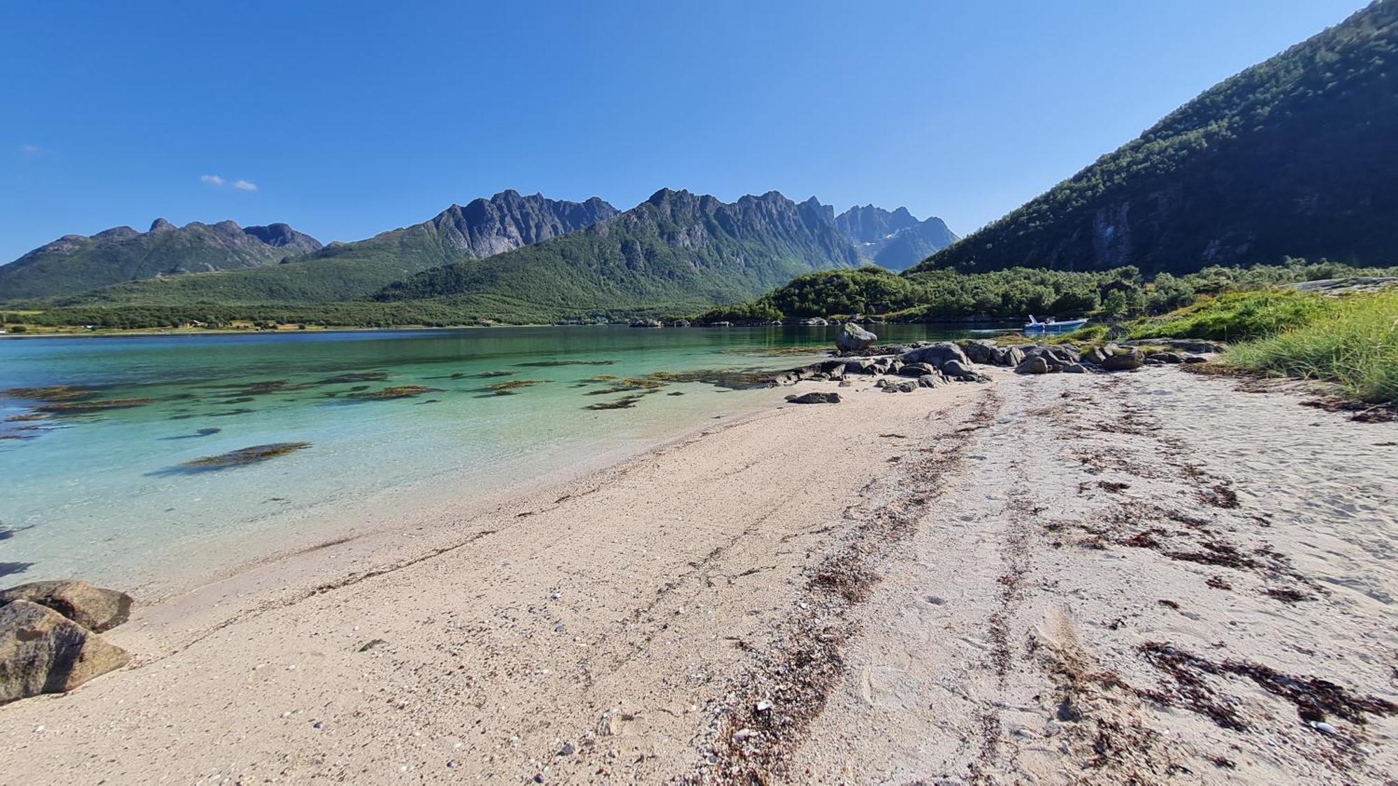 Prima Lofoten Apartment Myrland Bagian luar foto