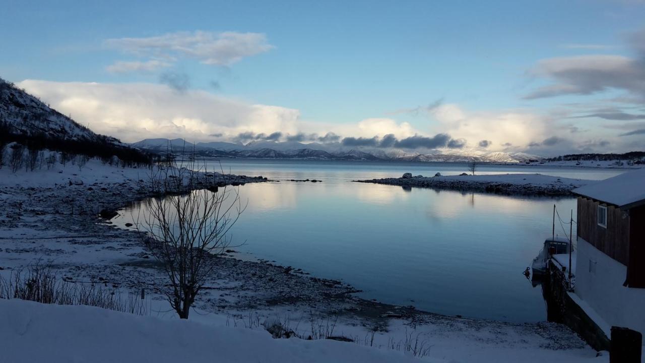 Prima Lofoten Apartment Myrland Bagian luar foto