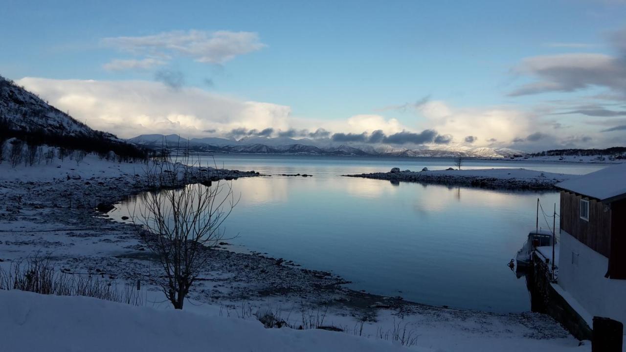 Prima Lofoten Myrland Bagian luar foto