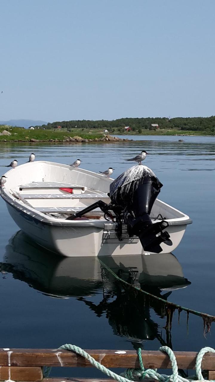 Prima Lofoten Myrland Bagian luar foto
