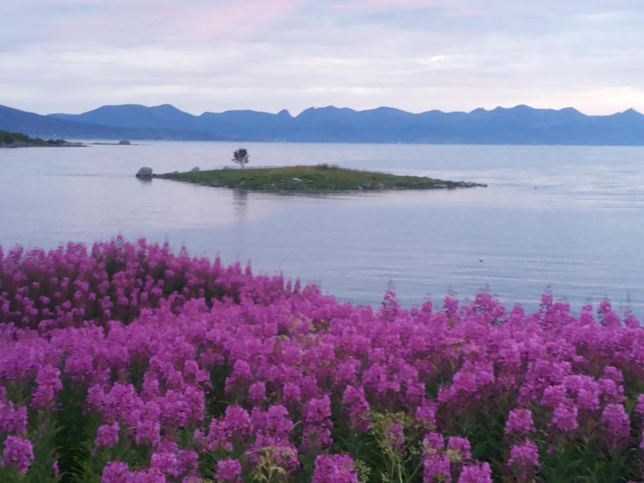 Prima Lofoten Apartment Myrland Bagian luar foto