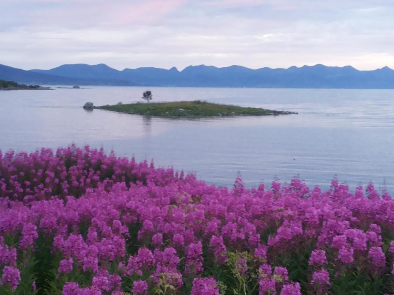 Prima Lofoten Myrland Bagian luar foto