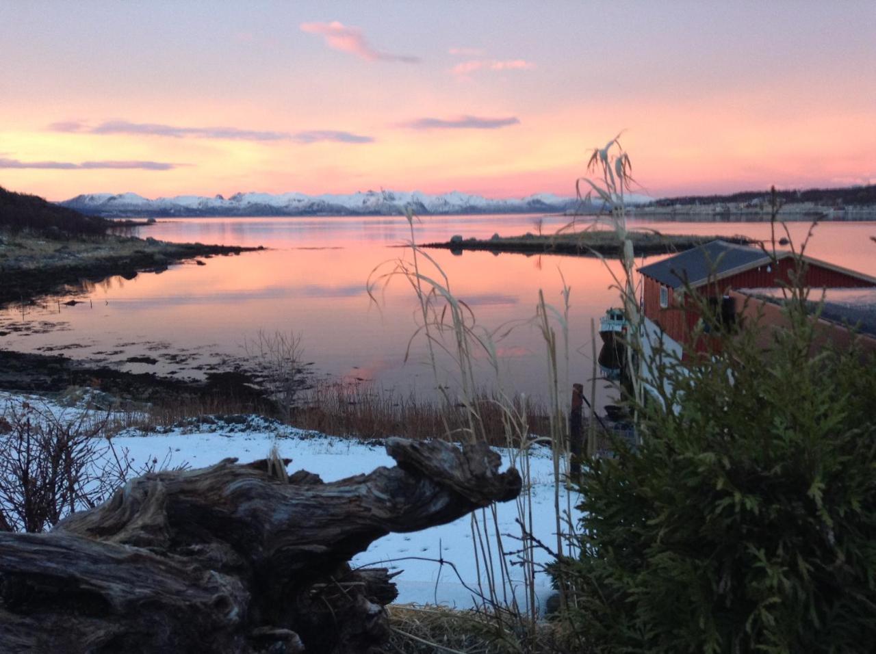 Prima Lofoten Apartment Myrland Bagian luar foto