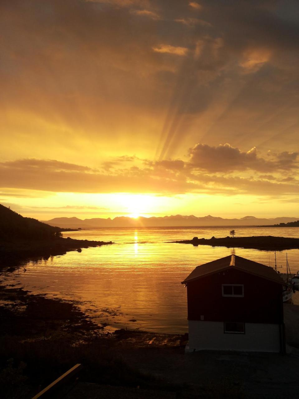 Prima Lofoten Apartment Myrland Bagian luar foto