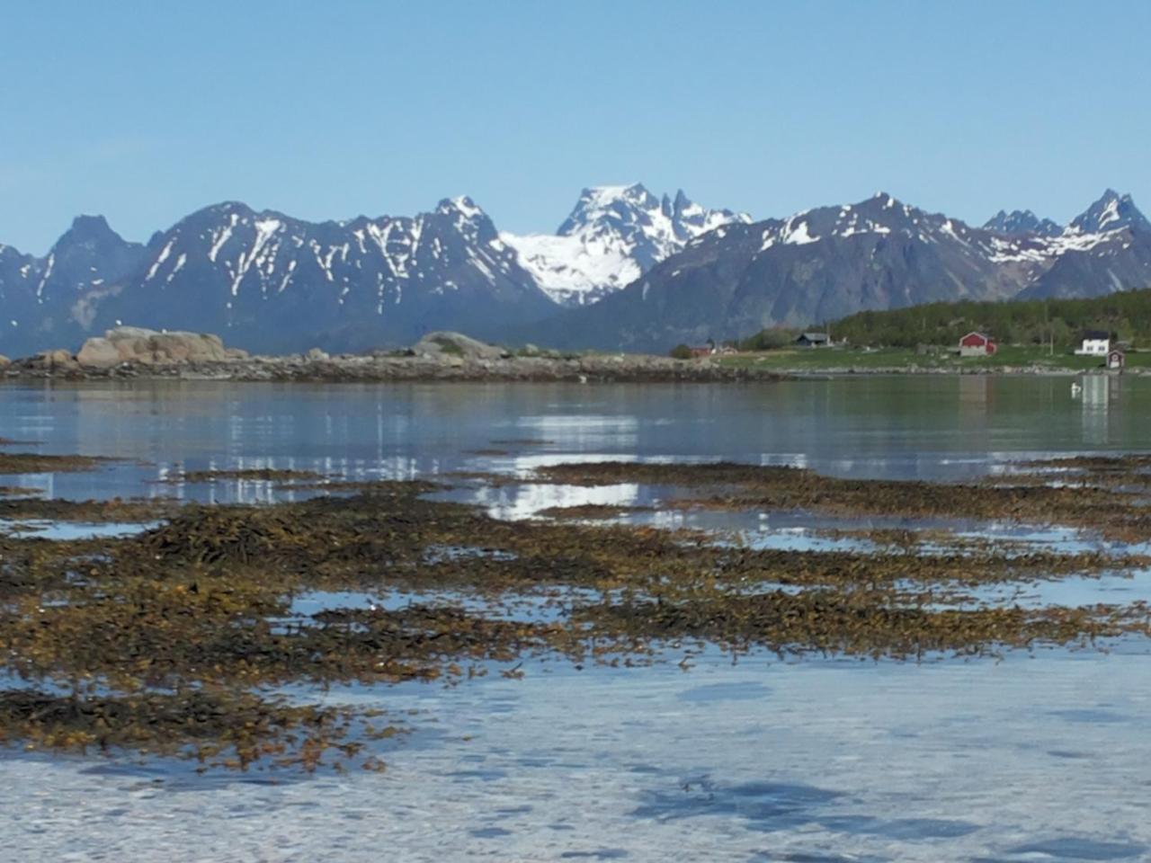 Prima Lofoten Apartment Myrland Bagian luar foto