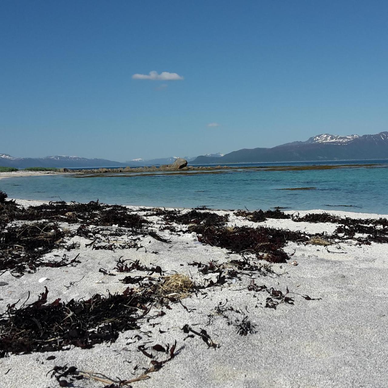 Prima Lofoten Myrland Bagian luar foto