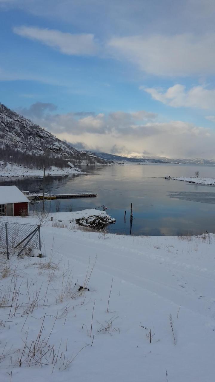 Prima Lofoten Apartment Myrland Bagian luar foto