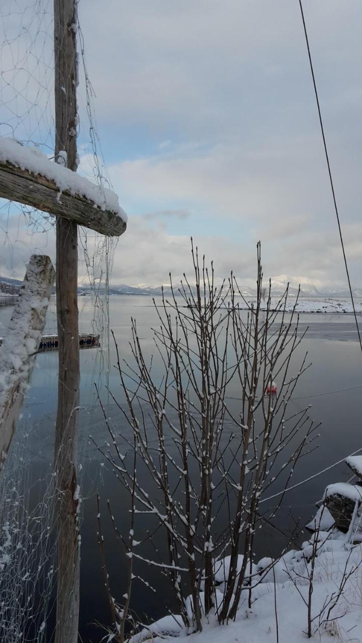 Prima Lofoten Apartment Myrland Bagian luar foto