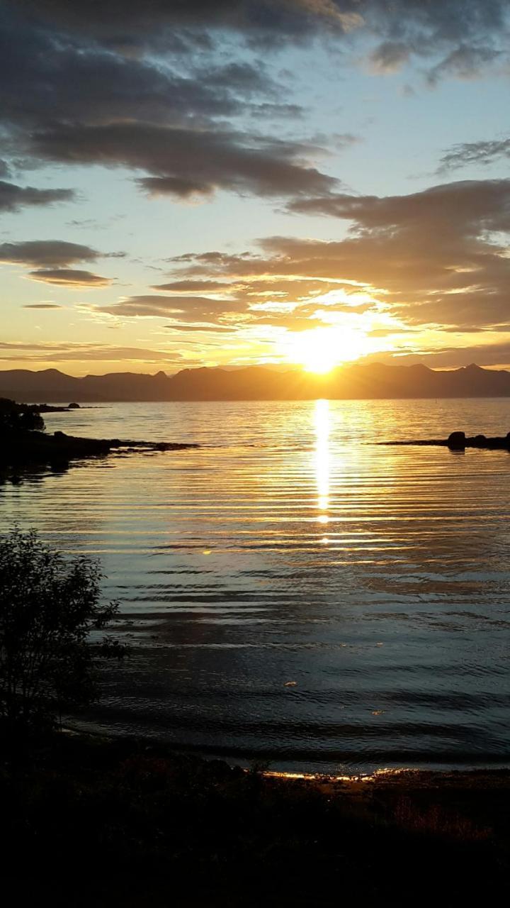 Prima Lofoten Apartment Myrland Bagian luar foto