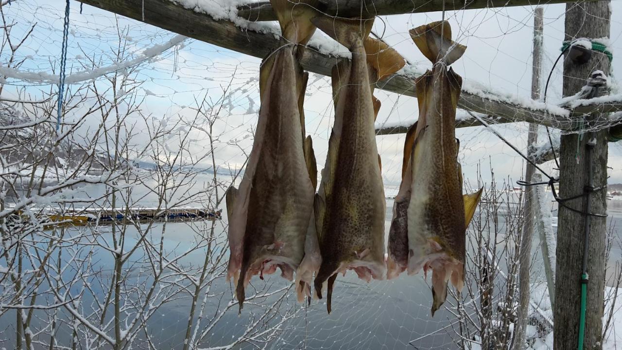 Prima Lofoten Myrland Bagian luar foto