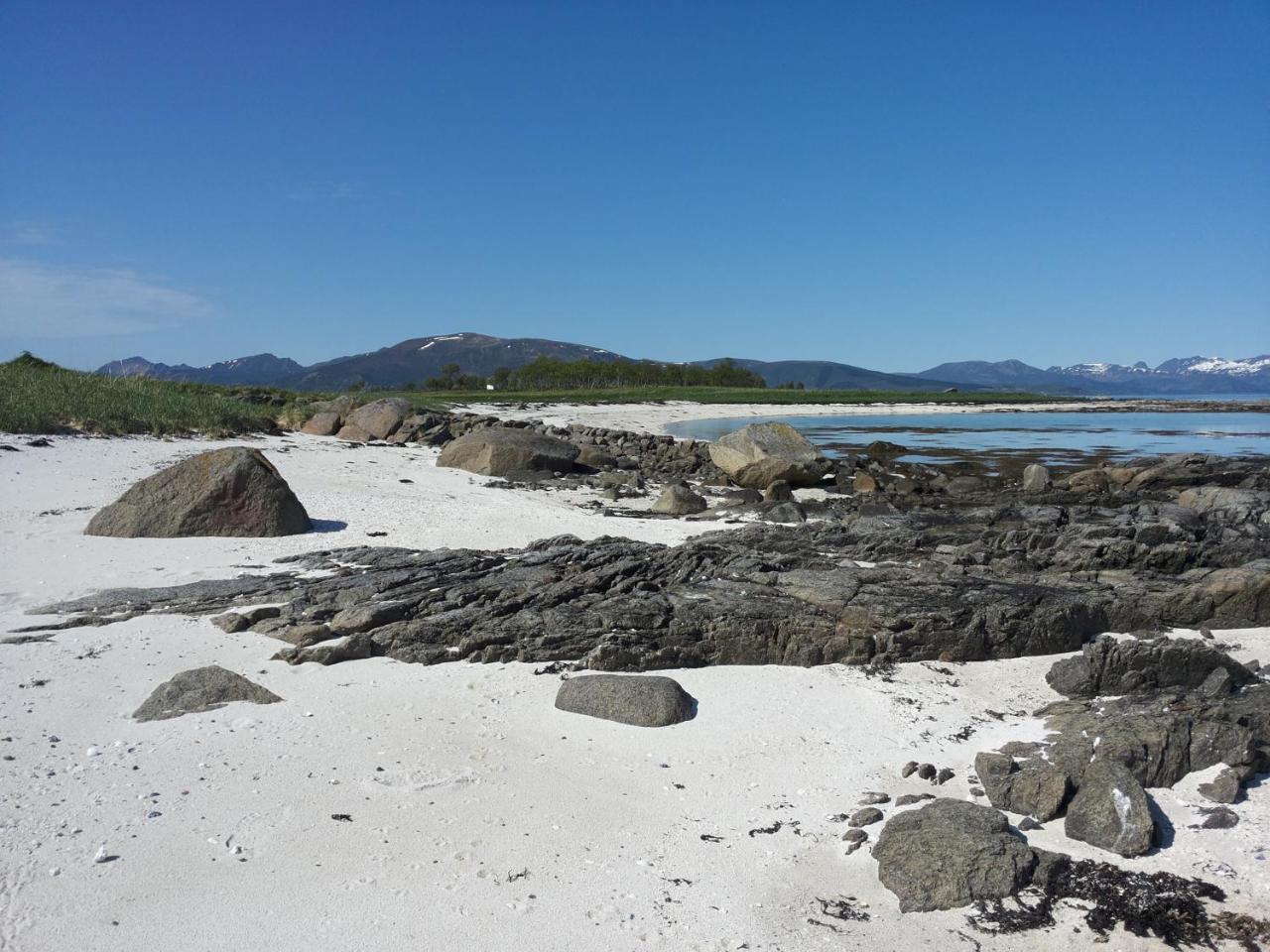 Prima Lofoten Apartment Myrland Bagian luar foto