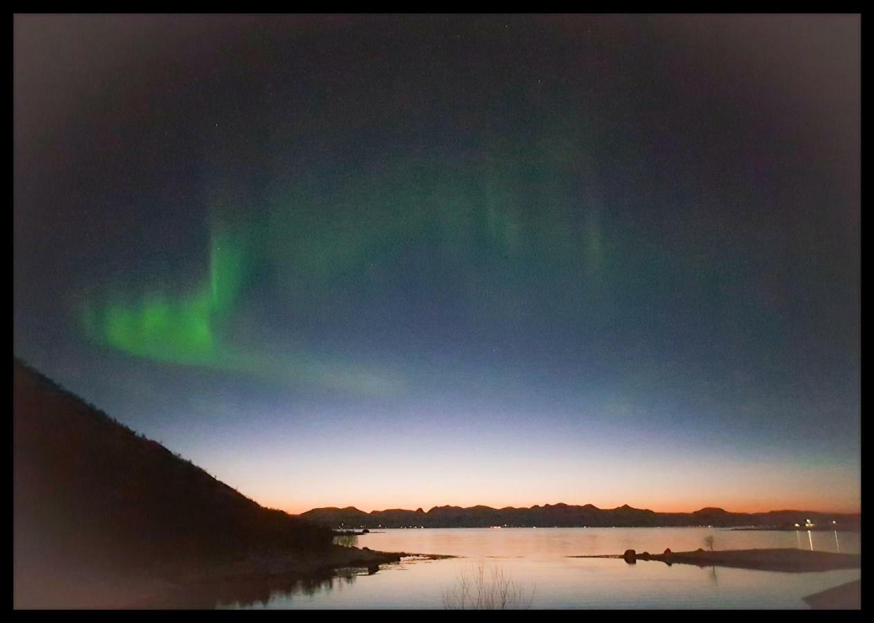 Prima Lofoten Apartment Myrland Bagian luar foto